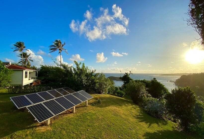 Sea Cliff Cottages