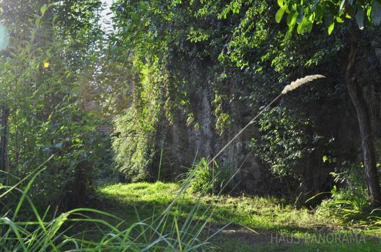 هتل Haus Panorama