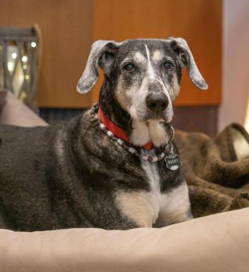 Отель Kelkheimer Hof