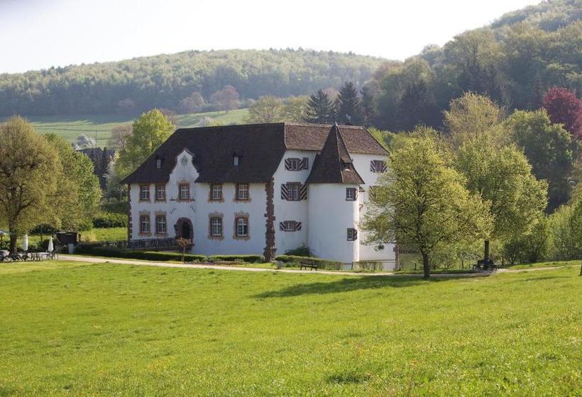 بنسيون Gästehaus Am Wasserschloss & Restaurant Wasserschloss Inzlingen