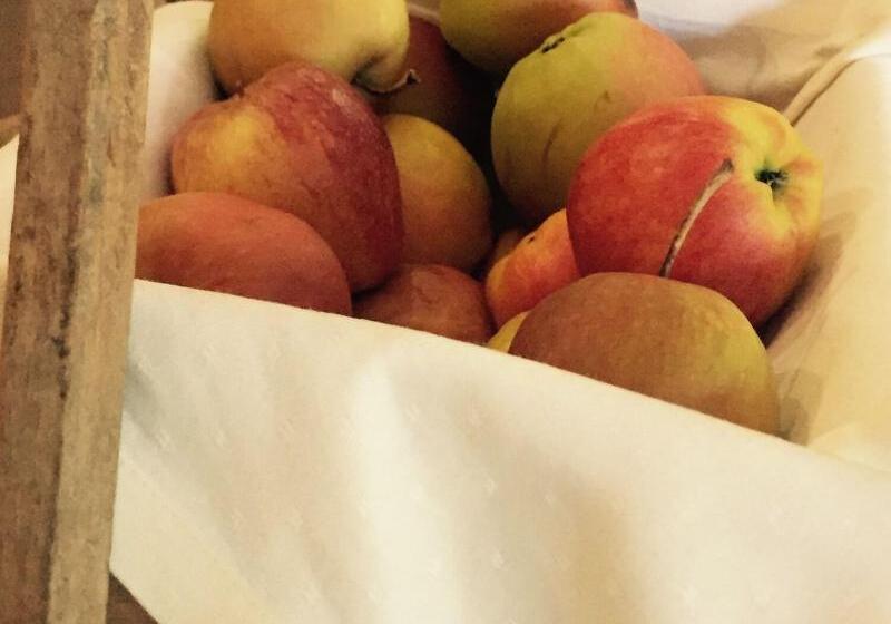 בית מלון כפרי Gerber