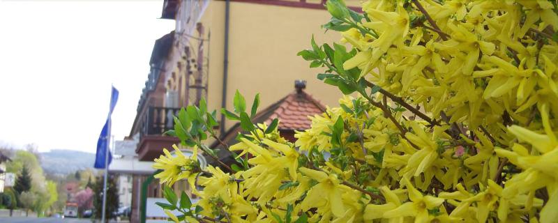 בית מלון כפרי Gerber