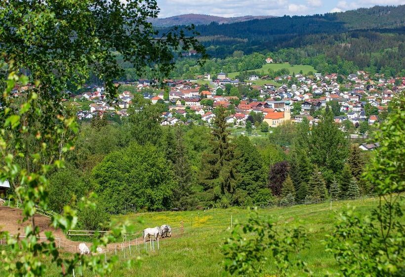 Отель St. Florian
