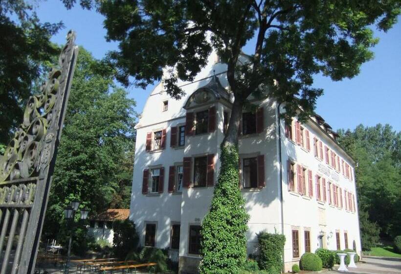 Welcome Hotel Schloss Lehen