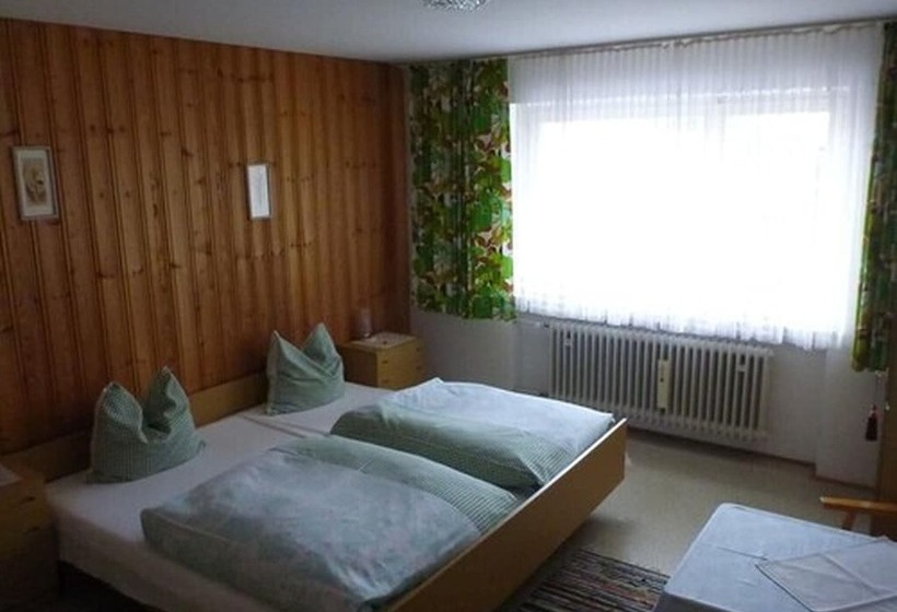 פנסיון Gästehaus Hofer