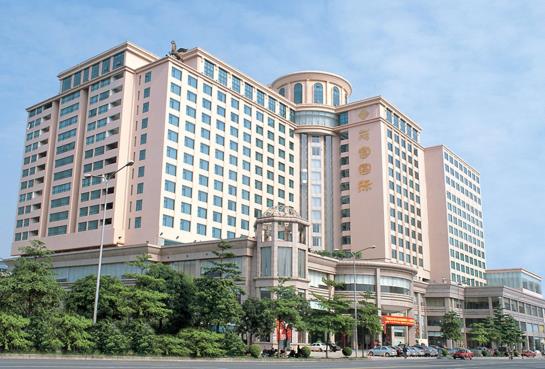 Hotel Palace International