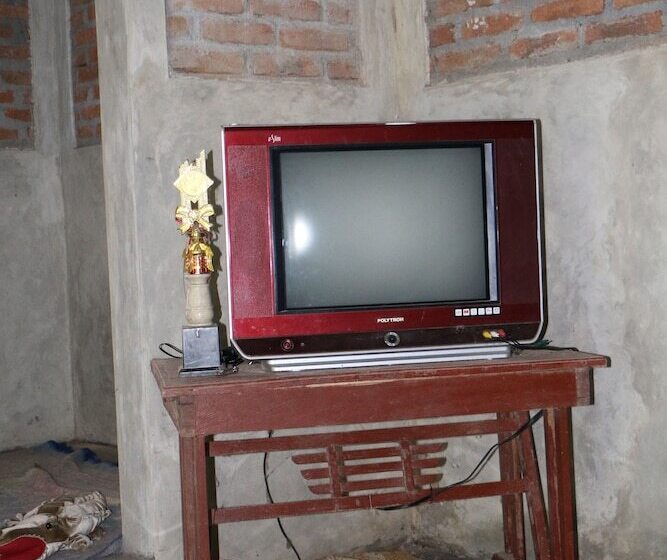 هاستل Homestay Lolita