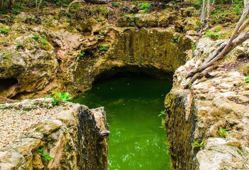 هتل Aldea Mayaha Cabanas Con Cenotes