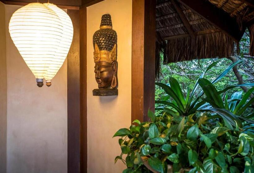 فندق Sombra E Agua Fresca Floresta
