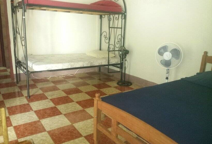 هتل The Sleeping Dog Hostel