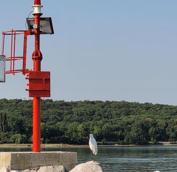 مبيت وإفطار Piccola California