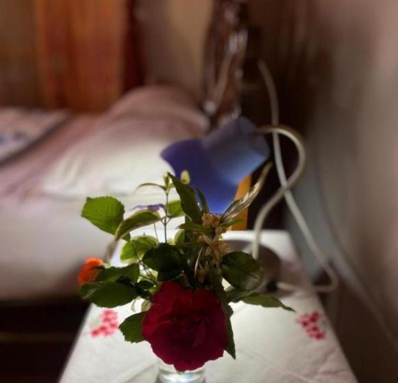 تختخواب و صبحانه Gather Inn Guest House
