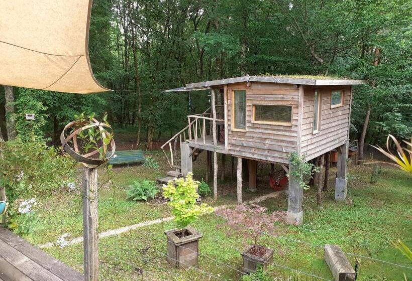 住宿加早餐  La Cabane De L Oiseau