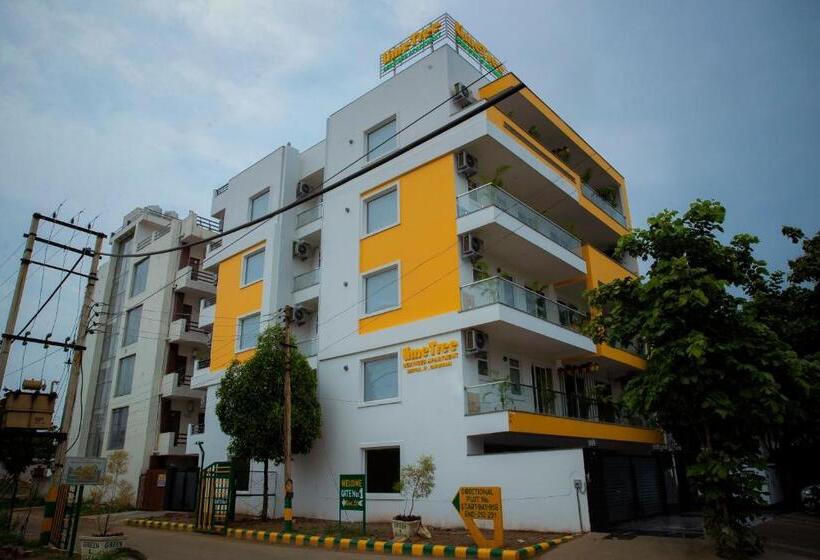 فندق Lime Tree Luxury Studio   Service Apartment Near Artemis Hospital ,gurgaon