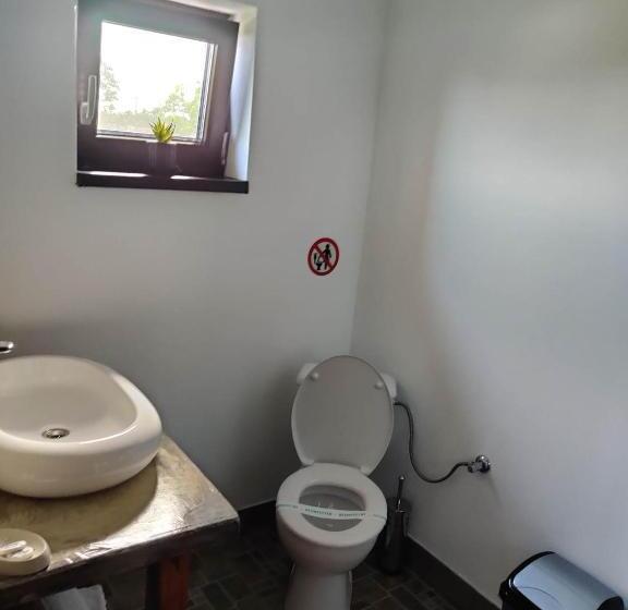 פנסיון Casa Vlad