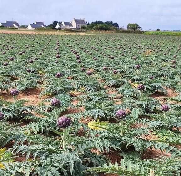 Bed and Breakfast Chambres D Hôtes Les Hauts Vents
