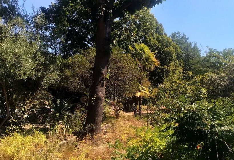 펜션 Les Jardins D Arbousse
