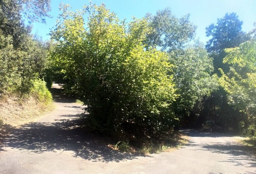 펜션 Les Jardins D Arbousse