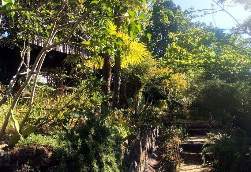 펜션 Les Jardins D Arbousse