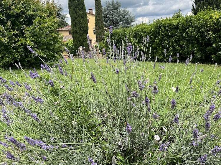 בית מלון כפרי Agriturismo La Palma Sambuca Val Di Pesa
