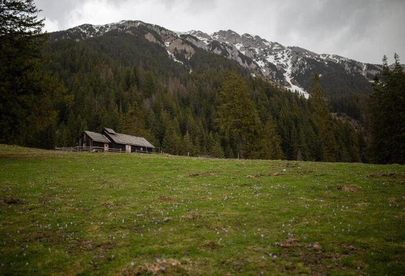 پانسیون Casa Haiducilor Satic