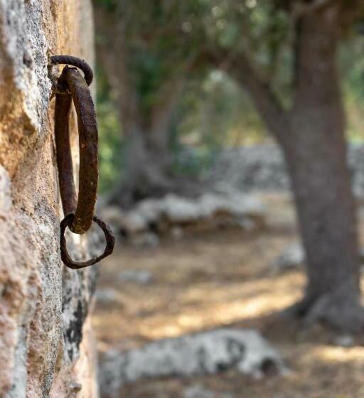 Levante E Libeccio Villette Vista Mare   Marina Di Andrano
