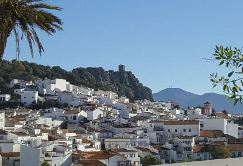 پانسیون Hostal Moncada