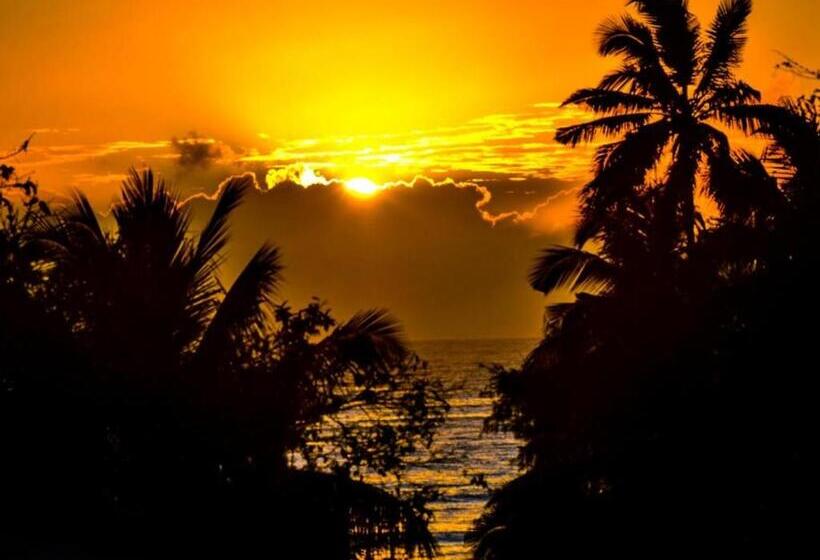 פנסיון Room In Bb   Sea Crest Hotel Zanzibar   2