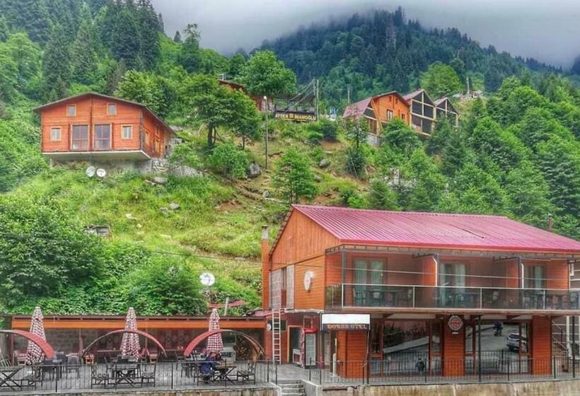 住宿加早餐  Ayder Doruk Otel