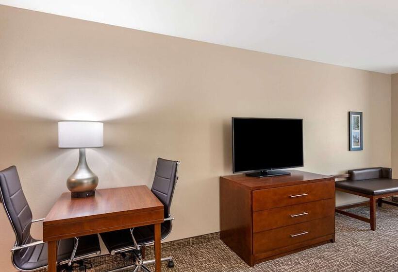 هتل Comfort Inn & Suites