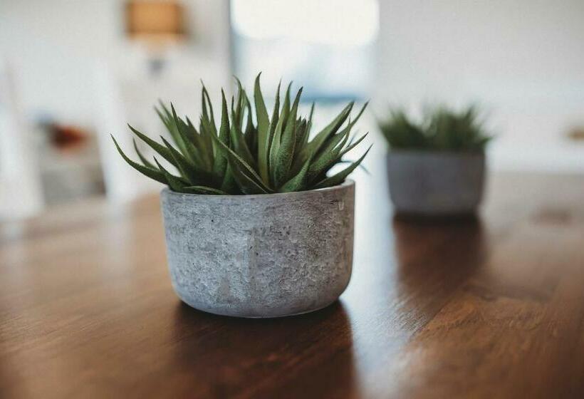 Bell Block Beauty Brand New