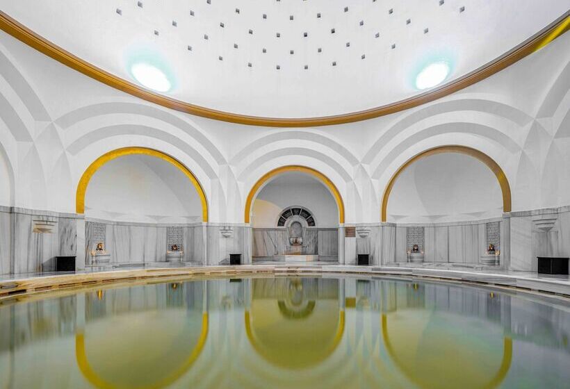هتل Atatürk Palas Thermal Spa & Convention Center