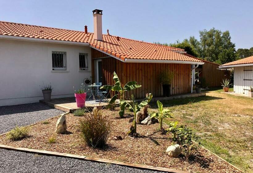 بنسيون Logement Indépendant Bassin D Arcachon