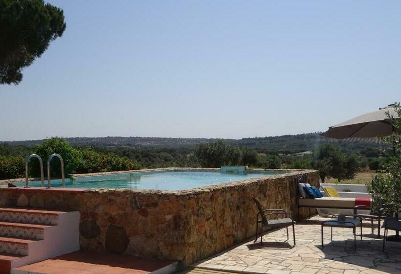 פנסיון New Village