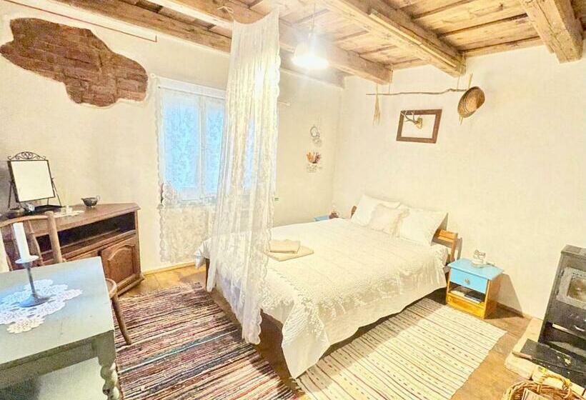 پانسیون Saschiz 130/lodging And Glamping