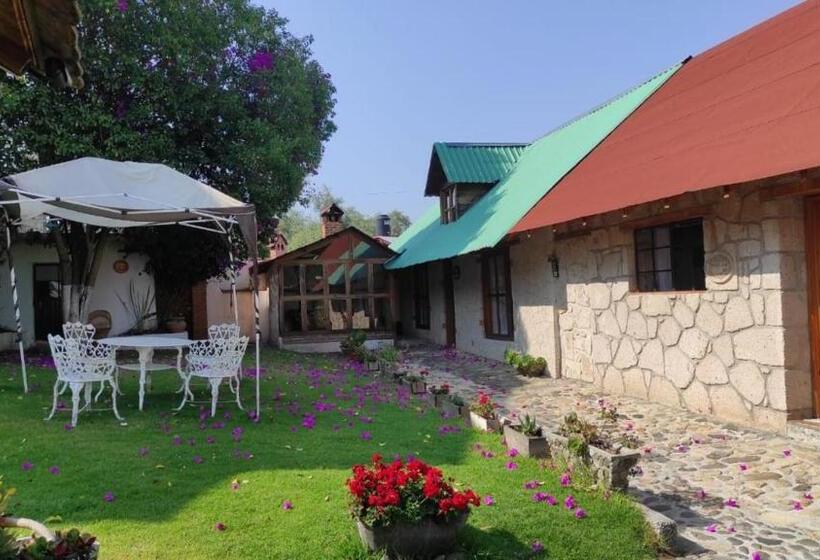فندق Cabañas Los Cactus