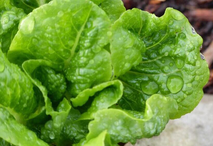 تختخواب و صبحانه Alaska Halcyon Heights Inn