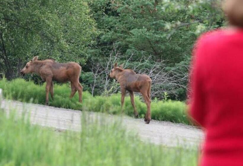 تختخواب و صبحانه Alaska Halcyon Heights Inn