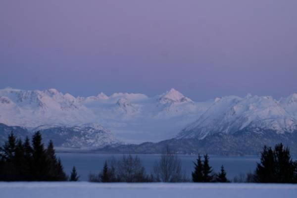 تختخواب و صبحانه Alaska Halcyon Heights Inn