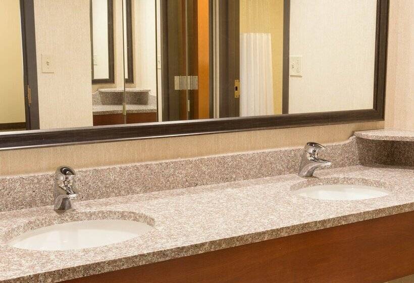 בית מלון כפרי Drury Inn & Suites St Louis Southwest