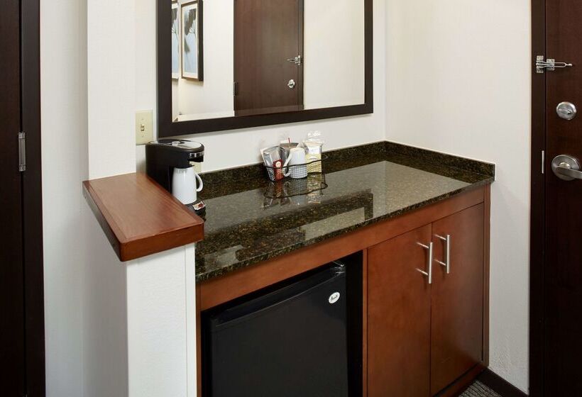 هتل Hyatt Place Grand Rapids South