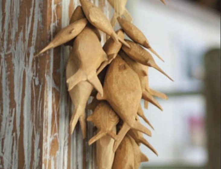 酒店 Pousada Capim Santo