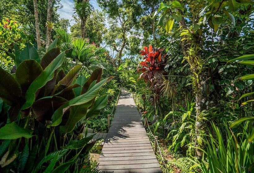 בית מלון כפרי Pousada Do Bosque