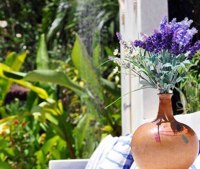 בית מלון כפרי Pousada Do Bosque