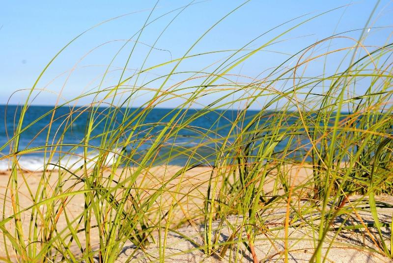 فندق Seaspray Surf Lodge