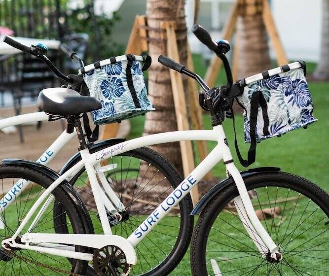 فندق Seaspray Surf Lodge