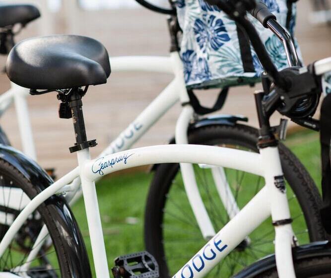 فندق Seaspray Surf Lodge