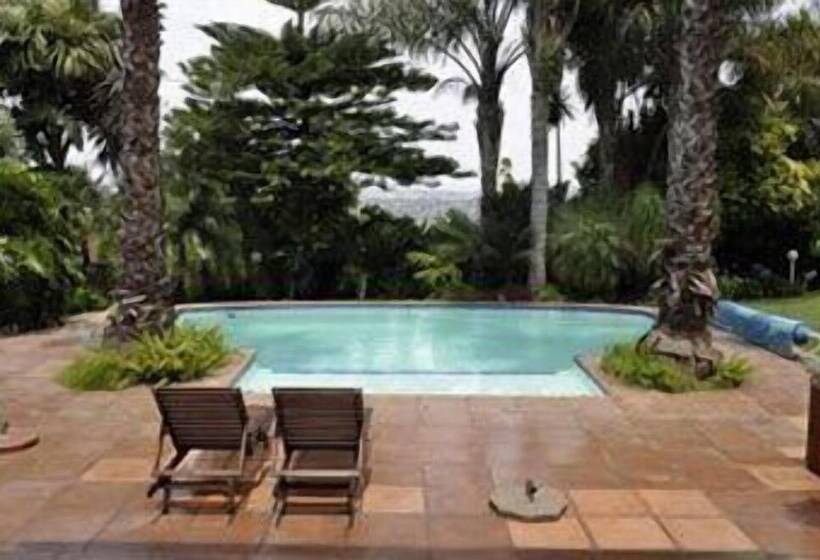 پانسیون Crane's Nest Guest House & Spa @ 313