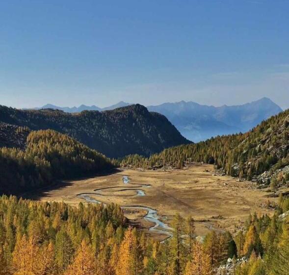 B & B Il Sottobosco
