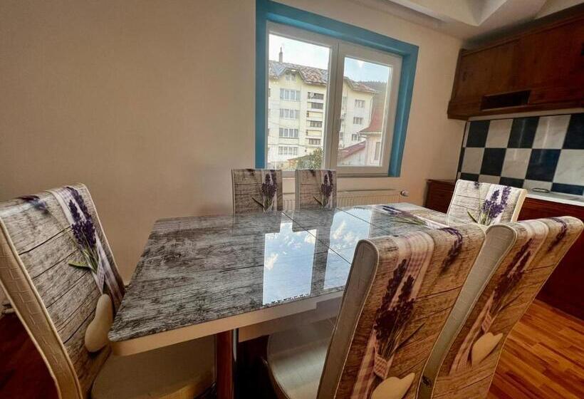 پانسیون Casa Cu Lavandă